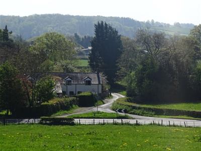 Picture 47
